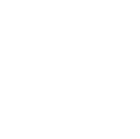 coach now icon logo
